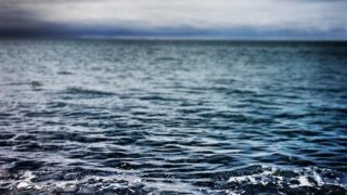口コミで話題の化粧水を実際に試した結果